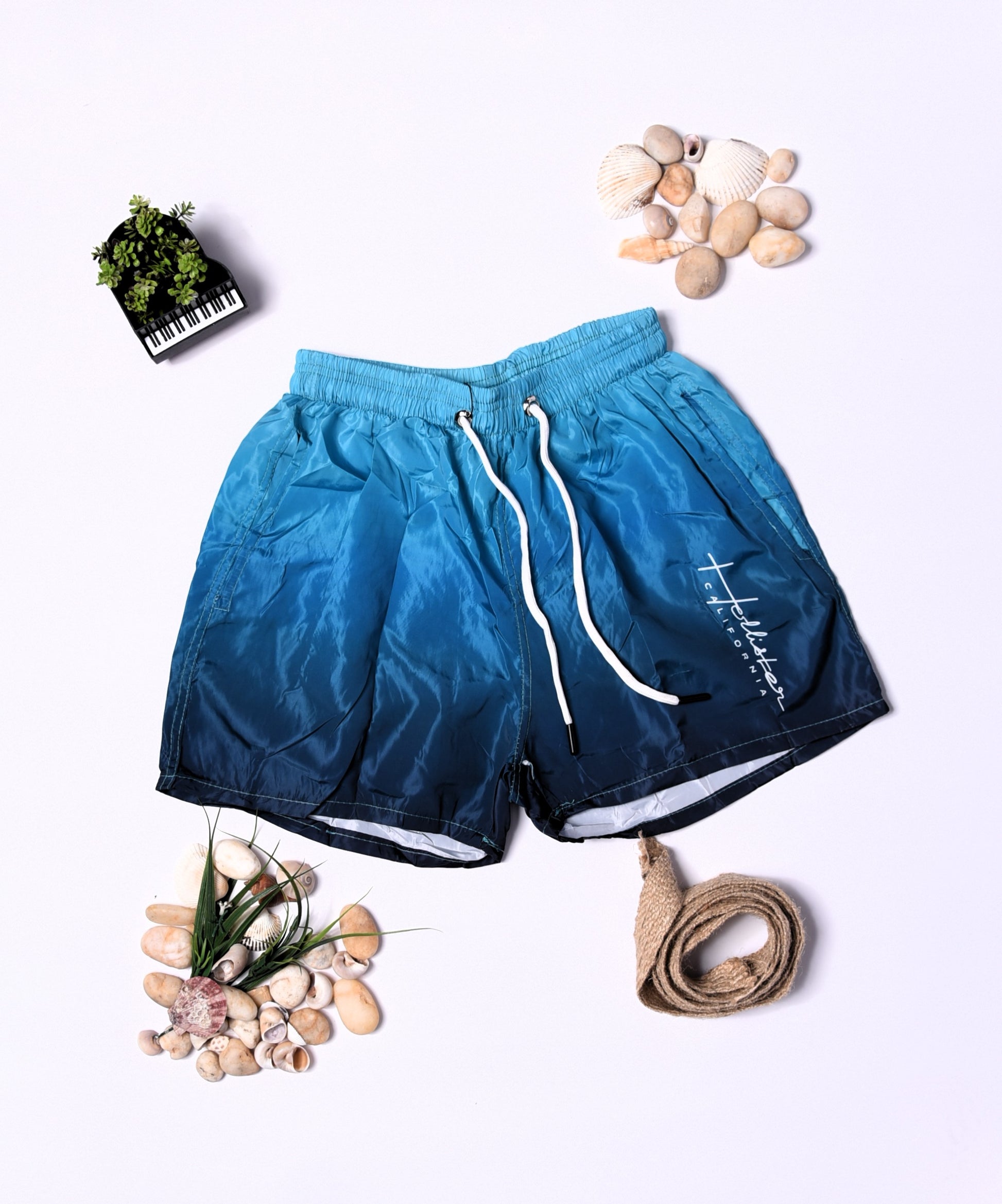 SHORT HOLLISTER